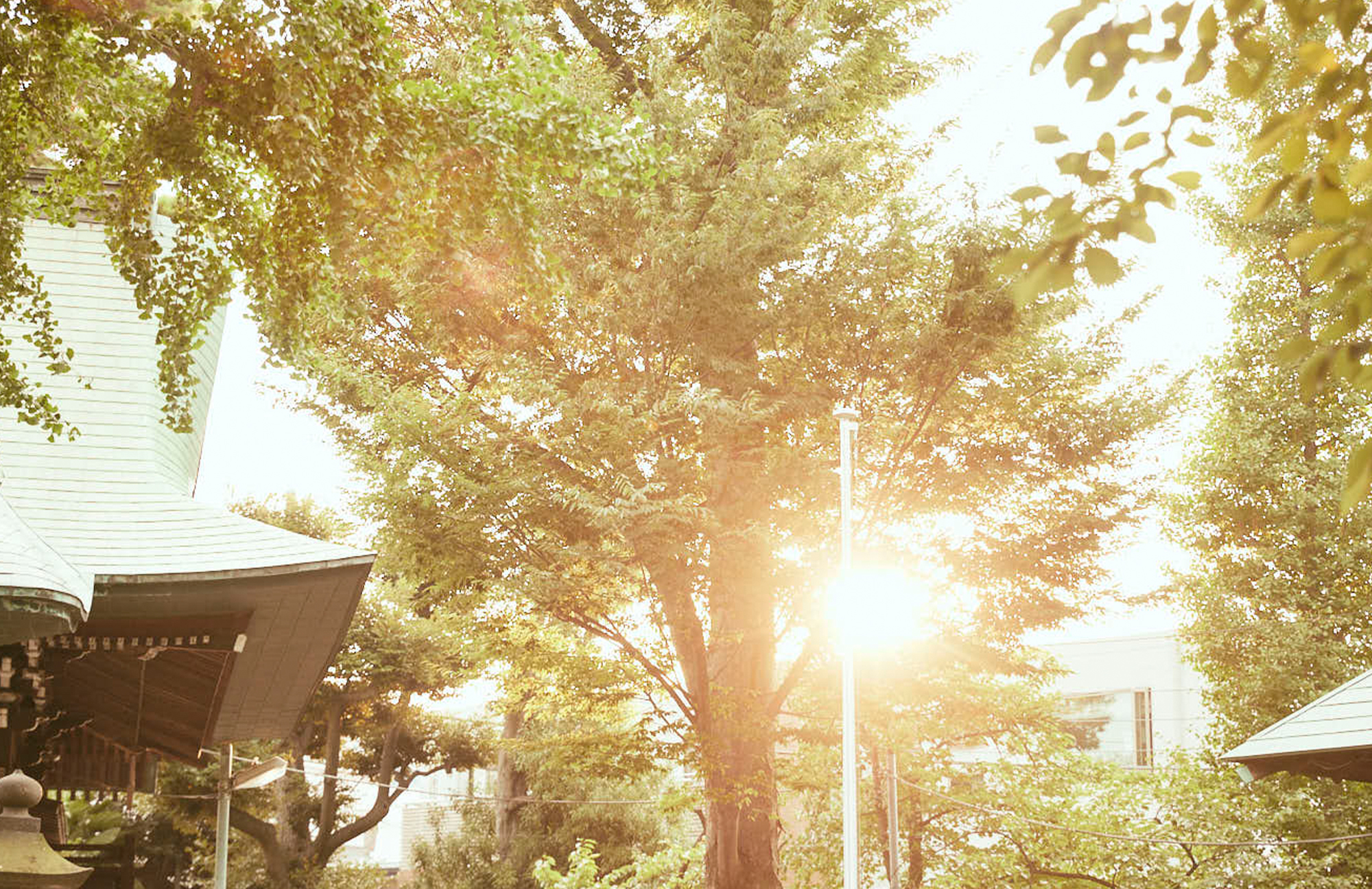 NOZAWA 「学芸大学駅」から「野沢」へ。ここは世田谷の奥座敷。