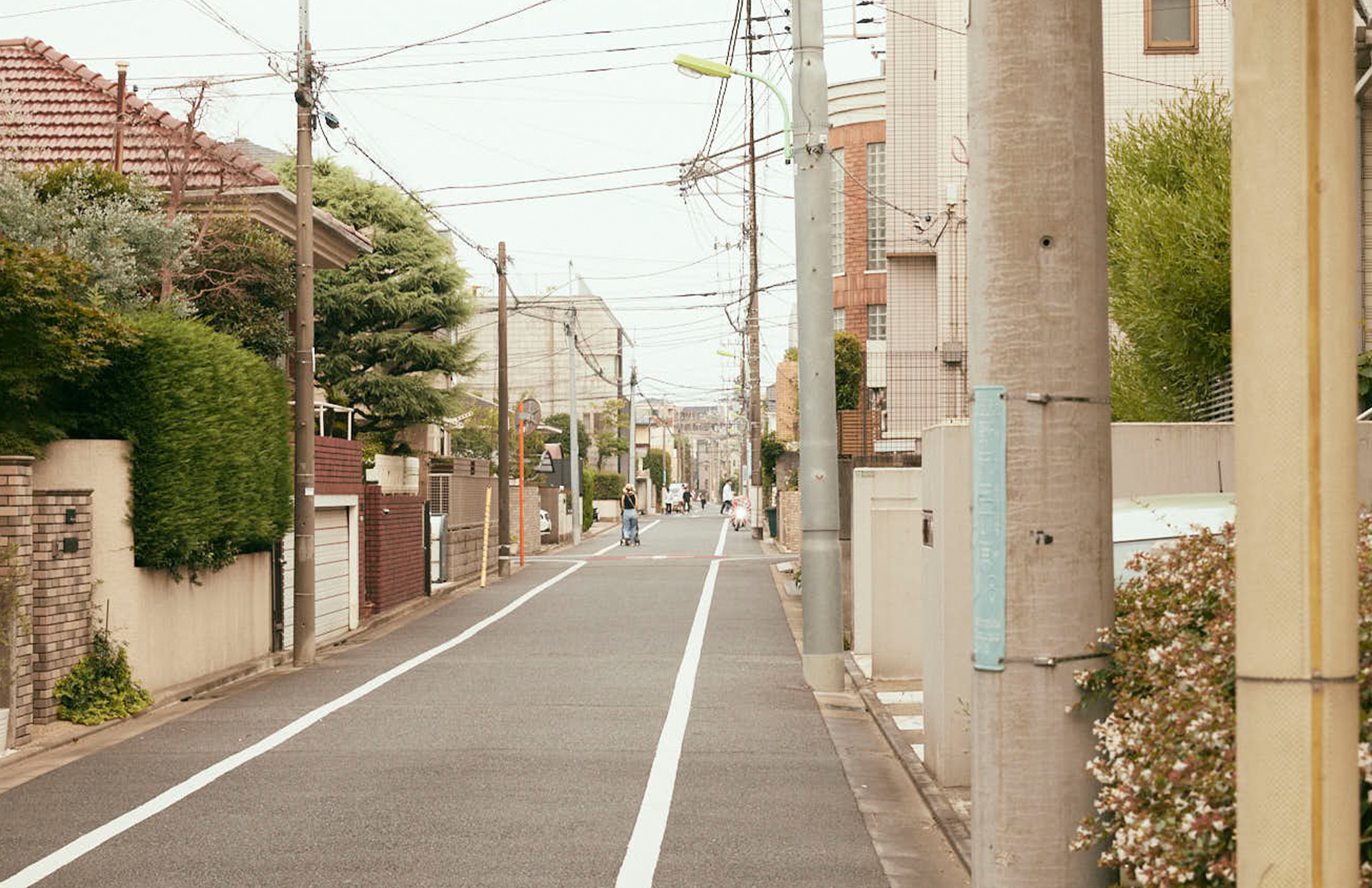 NOZAWA 「学芸大学駅」から「野沢」へ。ここは世田谷の奥座敷。