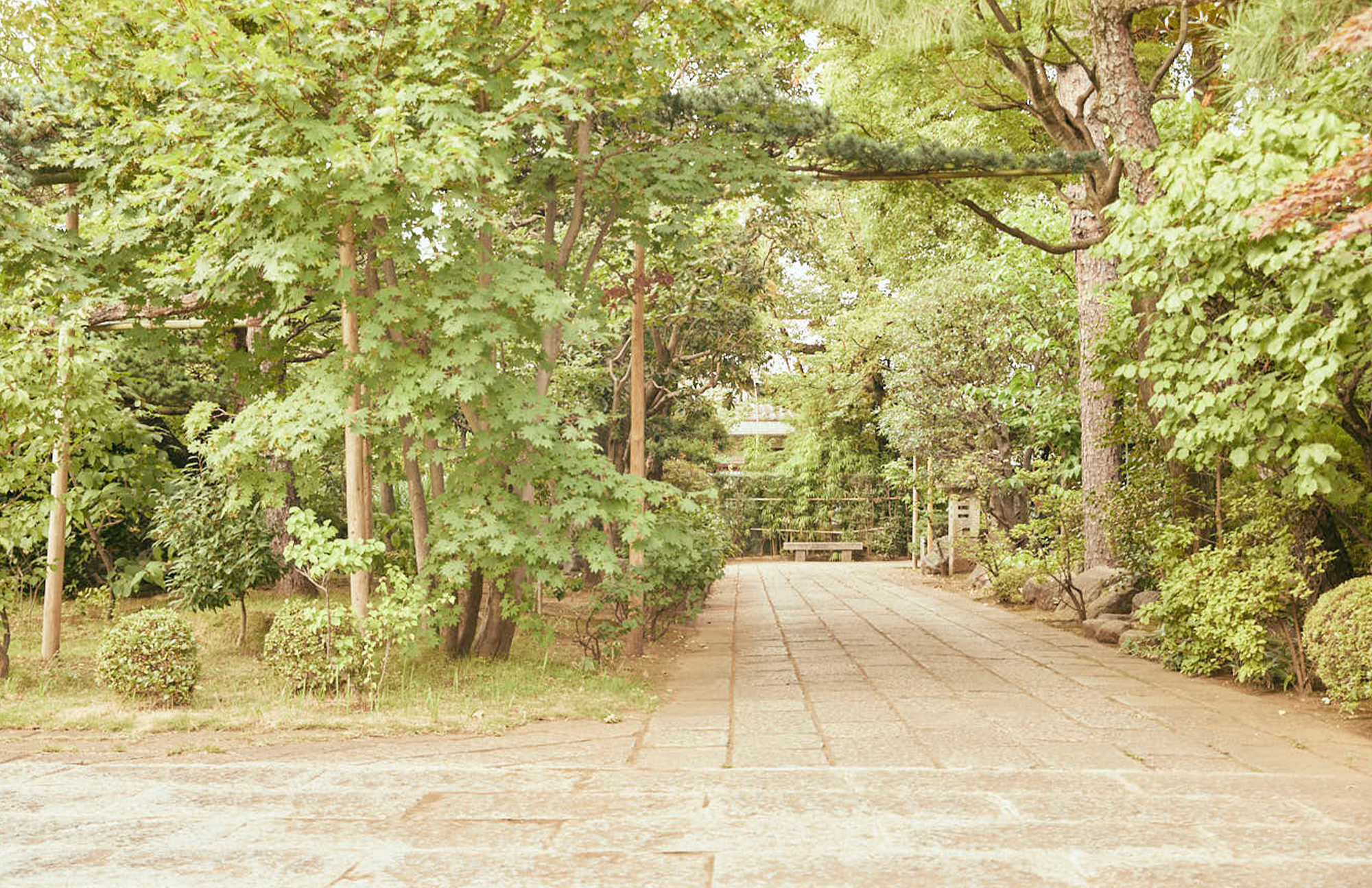 NOZAWA 「学芸大学駅」から「野沢」へ。ここは世田谷の奥座敷。