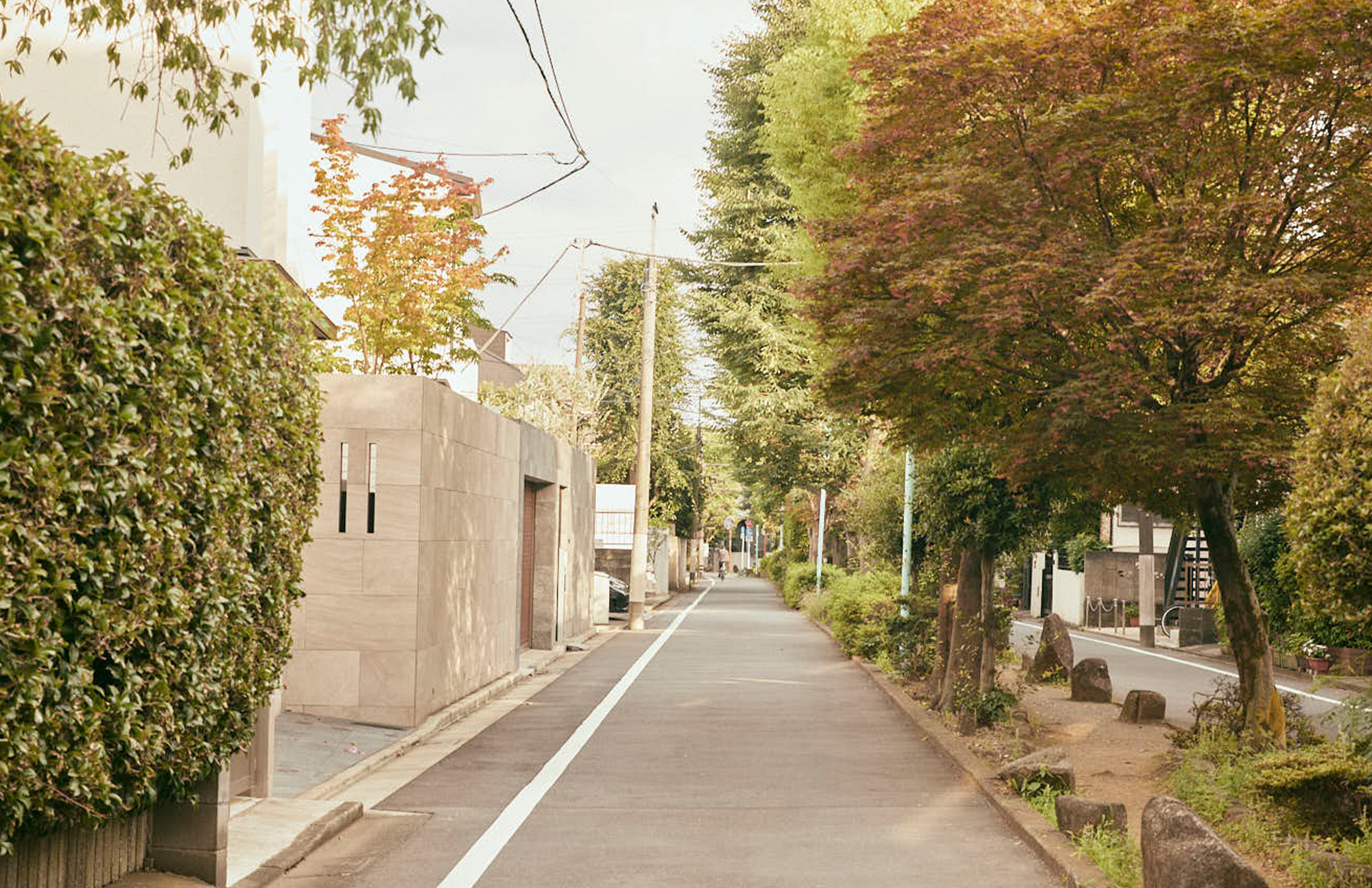NOZAWA 「学芸大学駅」から「野沢」へ。ここは世田谷の奥座敷。