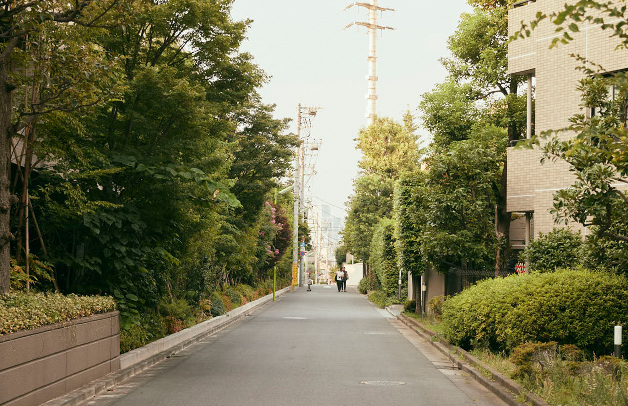 NOZAWA 「学芸大学駅」から「野沢」へ。ここは世田谷の奥座敷。